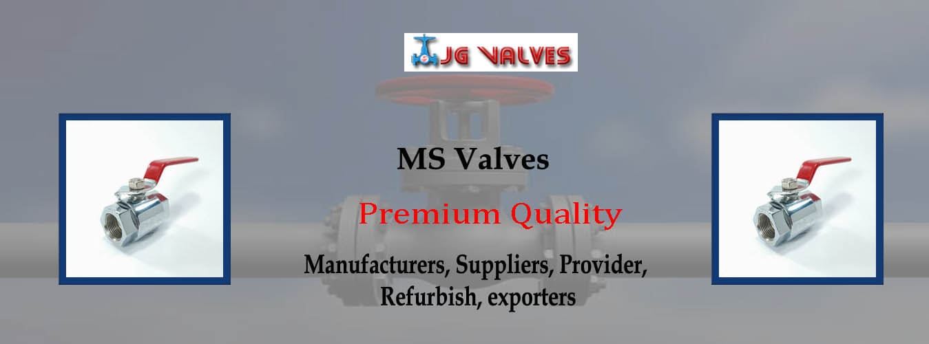 MS Valve Exporters